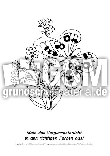 Frühlingsblüher-Ausmalbilder 22.pdf